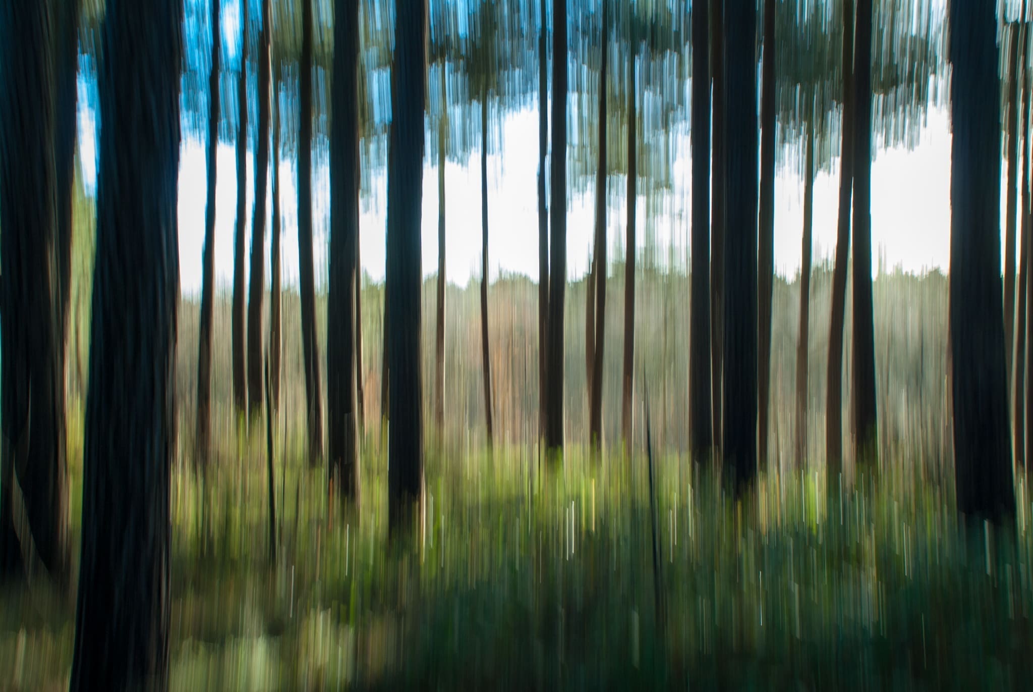 20110102-0004-Beweging