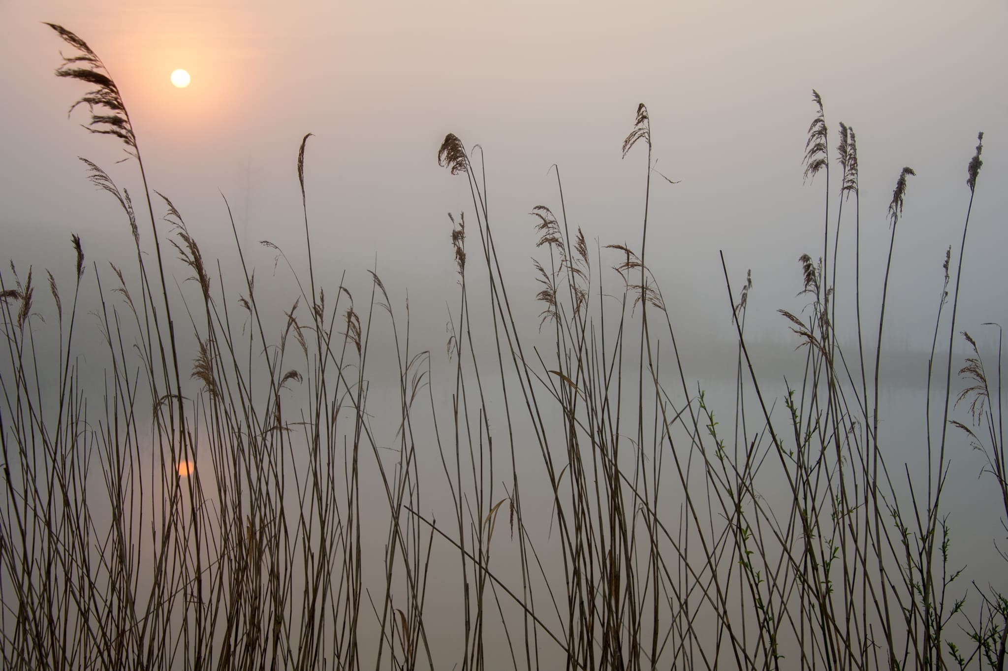 20110416-0012-Mist